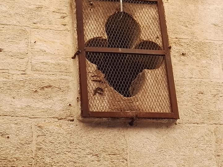 الناصرة | موسوعة القرى الفلسطينية